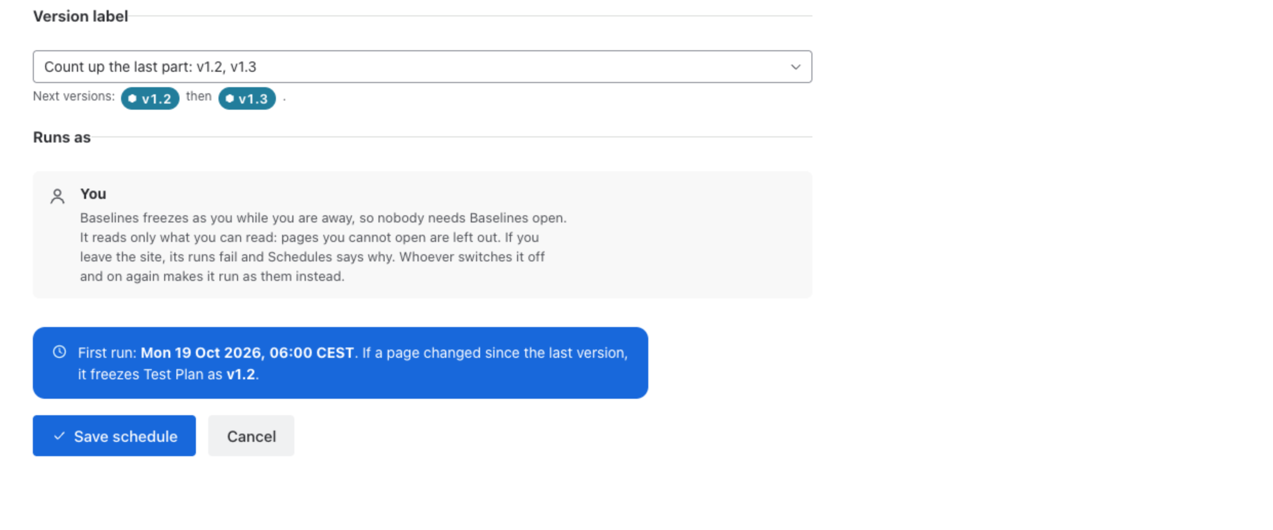 The lower half of the form: version label, Runs as You, and the first run preview